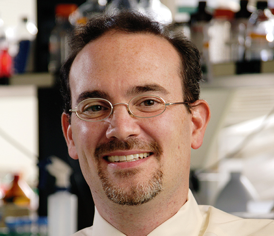 Matthew Freedman, MD