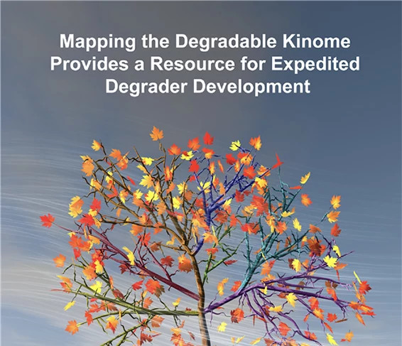 degradable-kinome-566x487.jpg
