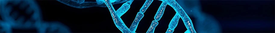 dna-illustration-913x110.jpg