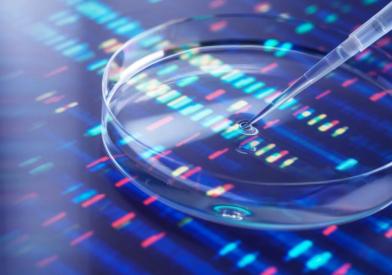 Petri dish with sample on a multi-colored background